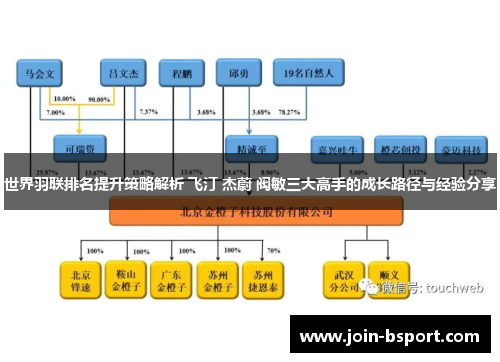 世界羽联排名提升策略解析 飞汀 杰蔚 阀敏三大高手的成长路径与经验分享